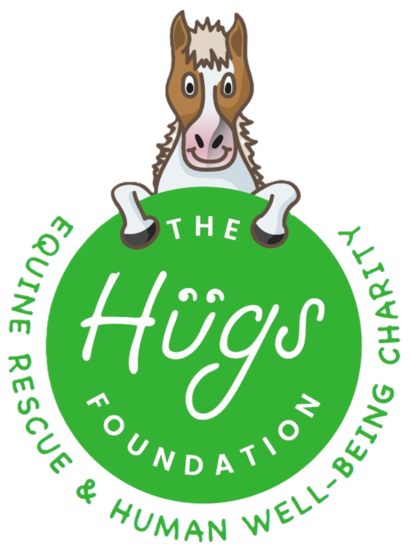 The Hugs Foundation logo